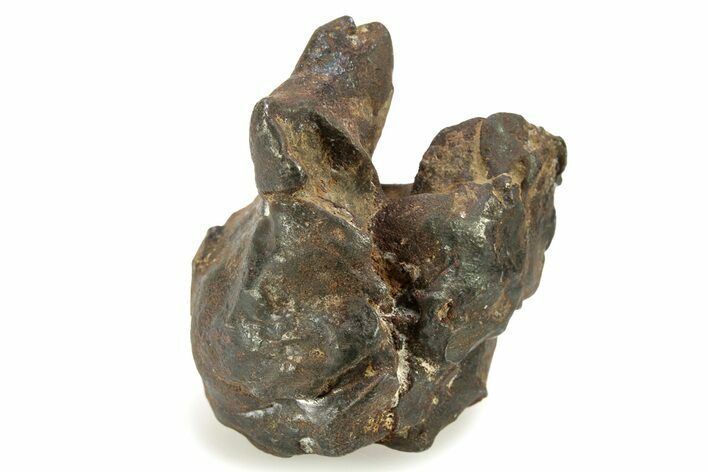 Gebel Kamil Iron Meteorite ( g) - Egypt #265431